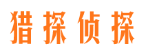 洛川市场调查